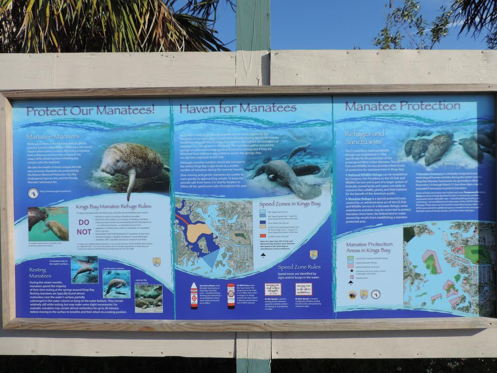 Tradewinds Homosassa Marina Resort Стая снимка